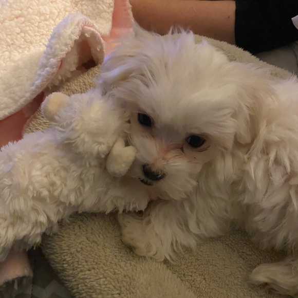 christina - Picture 4 of 4